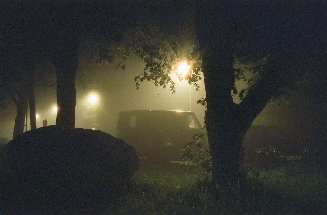 media/gallery/cinestill_03.png
