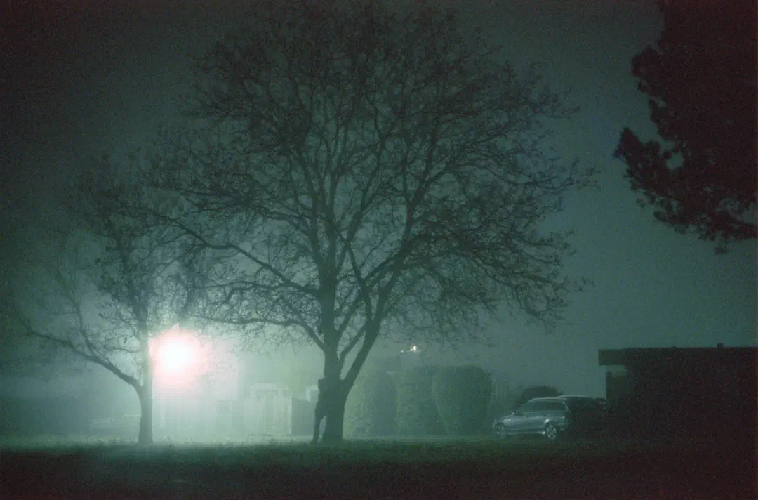 media/gallery/cinestill_07.png