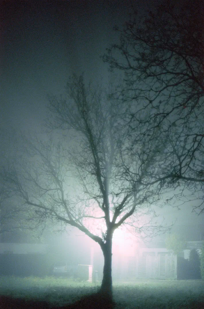 media/gallery/cinestill_08.png