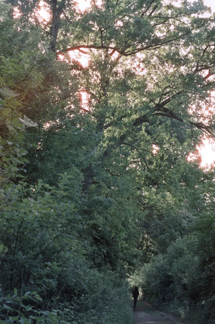 media/gallery/cinestill_12.png